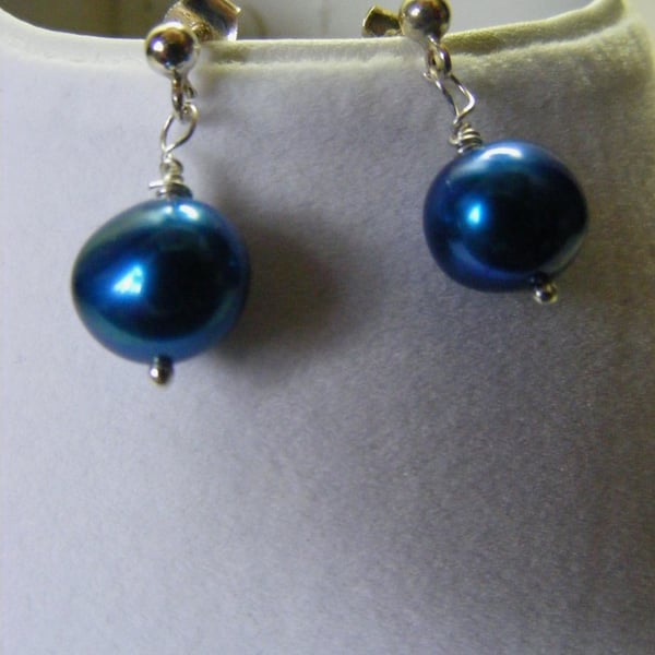 Navy Blue Freshwater Pearl Stud Earrings