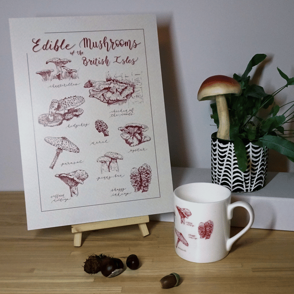 Edible Mushrooms Illustrated Art Print and China Mug - Eco Gift Set