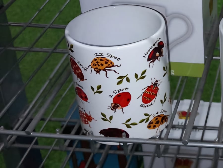 UK Ladybird Species Mug 11oz Beetles Insects