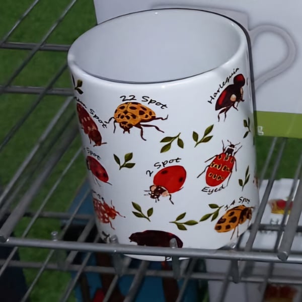 UK Ladybird Species Mug 11oz Beetles Insects