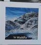 8" x 8" Fine Art Limited Editon Mounted Prints - Image 5