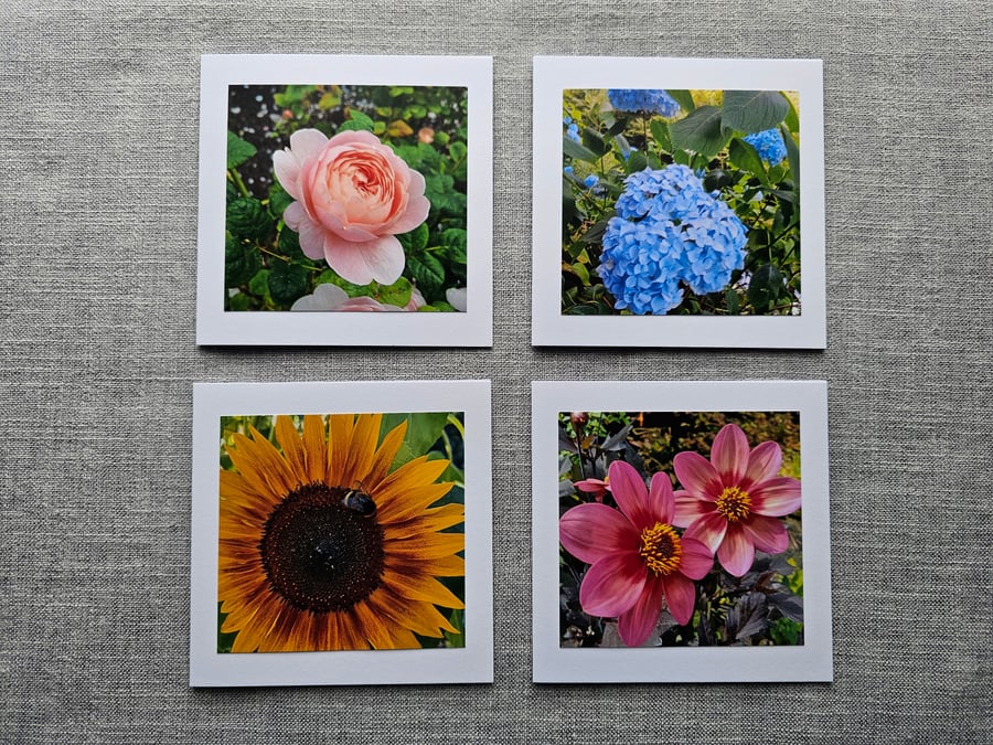Rose, Dahlia, Sunflower, Hydrangea Pack 4 Flower Photo Note Cards Size 5" x 5" 