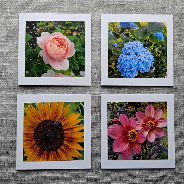Rose, Dahlia, Sunflower, Hydrangea Pack 4 Flower Photo Note Cards Size 5" x 5" 