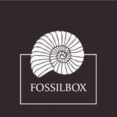 Fossilbox