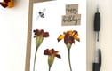 Pressed Flower Greeting Cards
