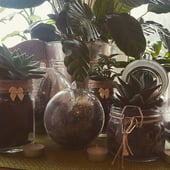 Reuse Recycle Relove