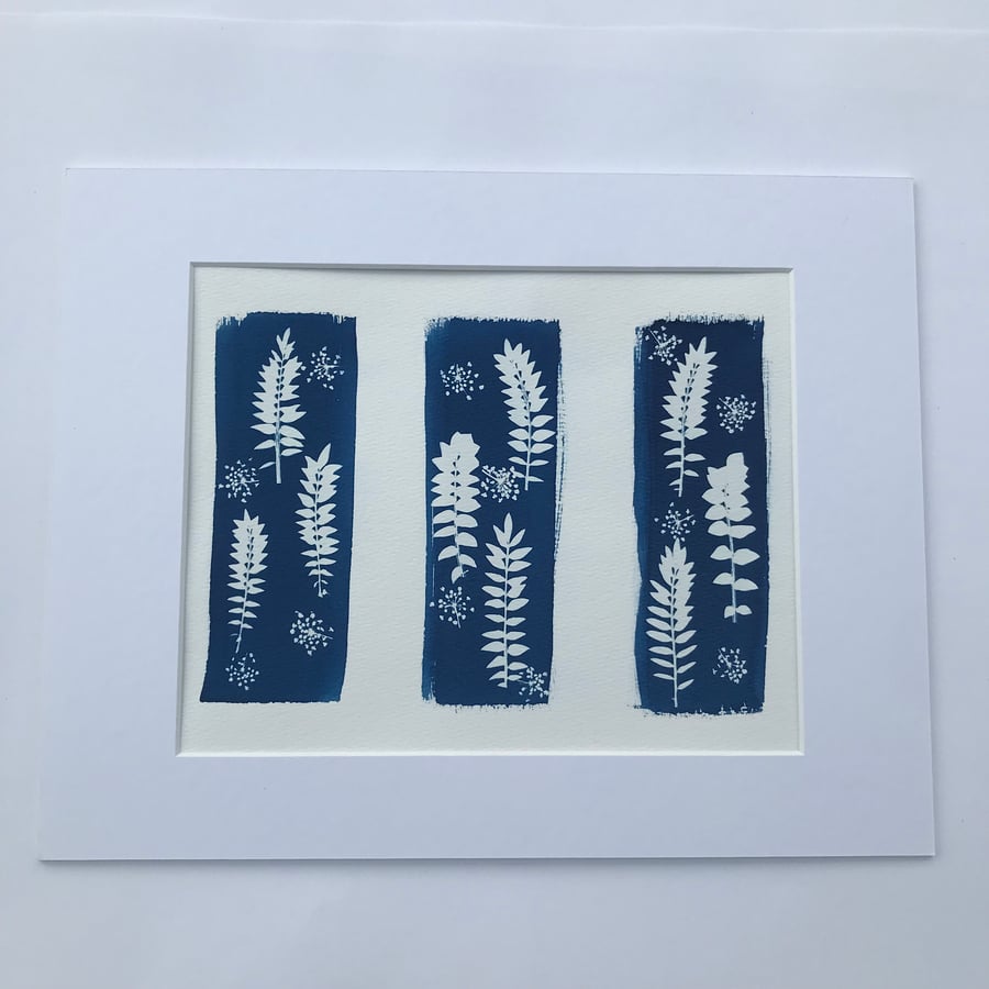 Triptych Blue- in a Cyanotype Photogram