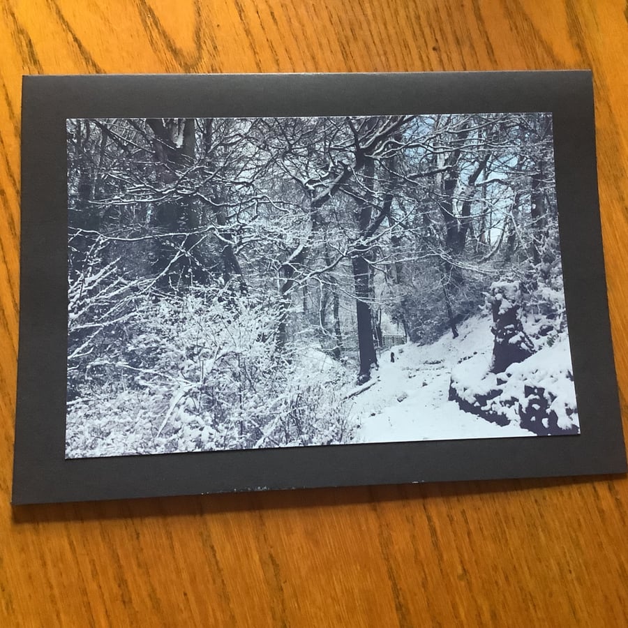 Handmade original photo card of a snowy Himalayan Dene, Northumberland Park