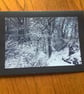 Handmade original photo card of a snowy Himalayan Dene, Northumberland Park