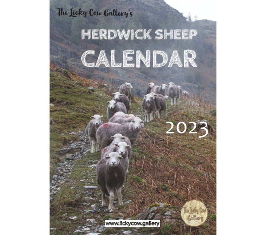 Herdwick Sheep 2023 Calendar A4 wire bound with... Folksy