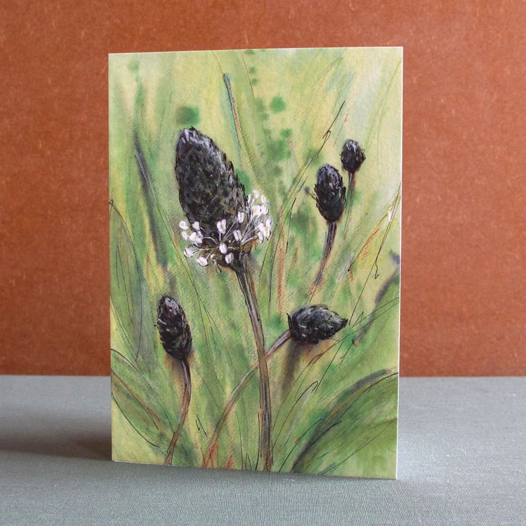 Blank Fine Art Card with Envelope