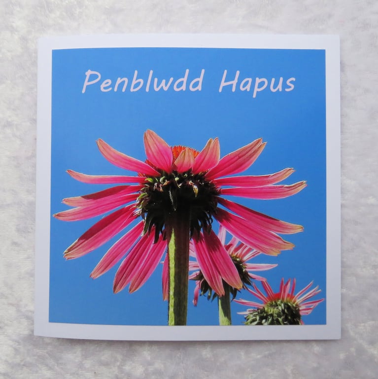 Penblwdd Hapus, Happy Birthday, Welsh greetings, Cymraeg