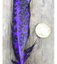 Purple Crow - Image 3