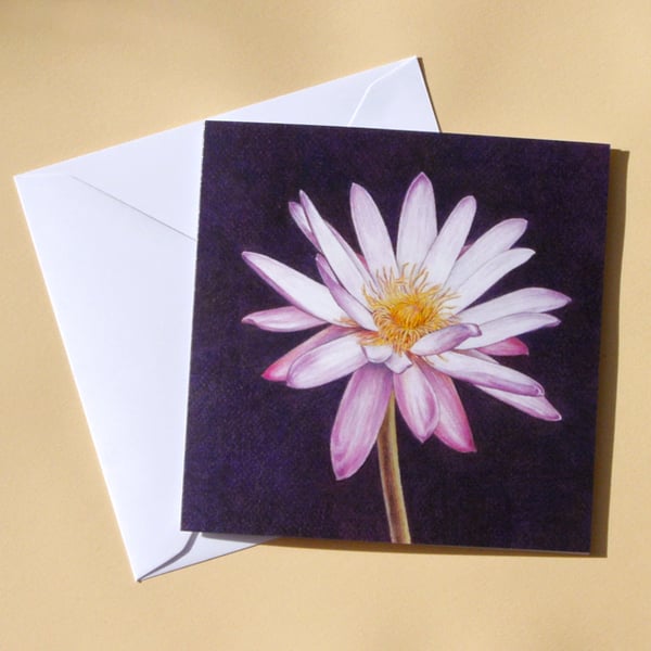 Greetings Card - Blank - Waterlily