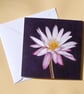 Greetings Card - Blank - Waterlily