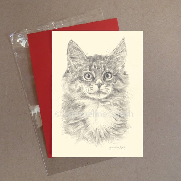 Kitten greeting card with envelope