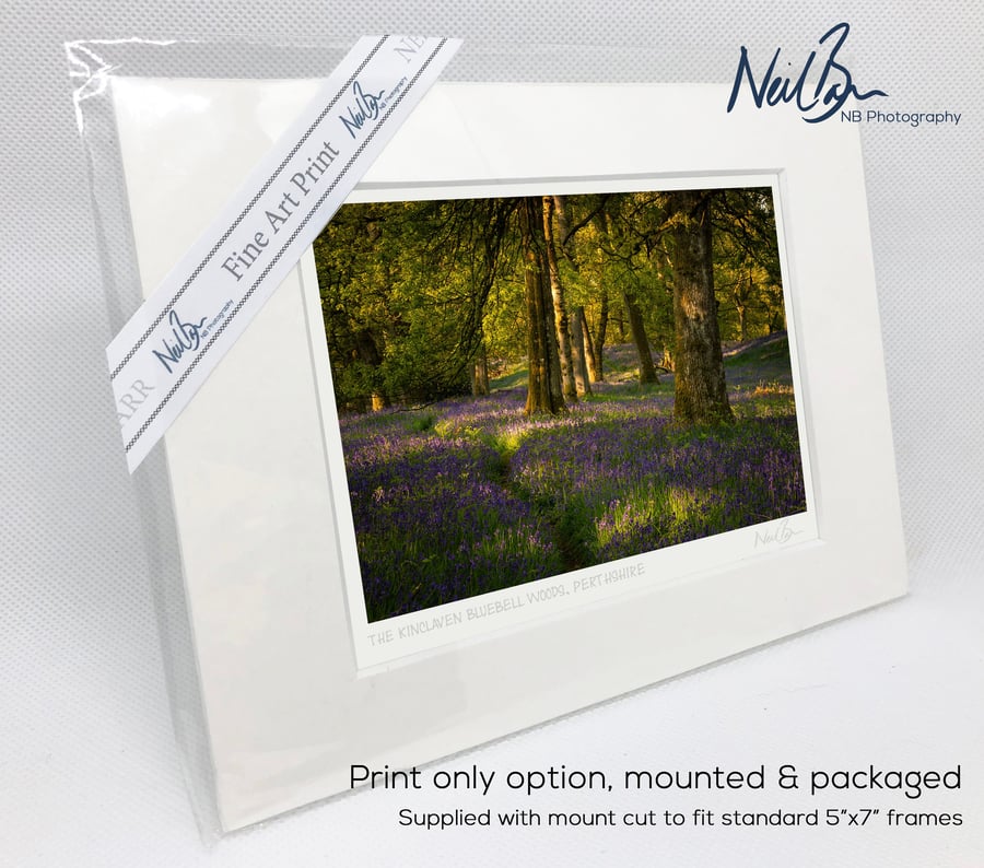 Kinclaven Bluebell Woodlands Perthshire Scotland - A6 (7" x 5") Unframed Print