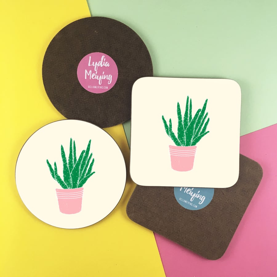 Succulent Coaster (1)