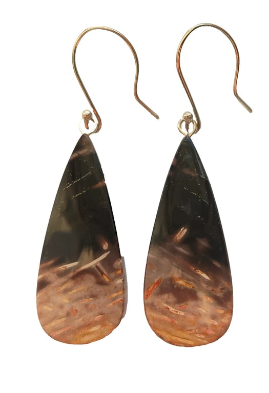 Petrified Palm Root Earrings Sterling Silver 925 Jewellery Gift Fossilised Wood