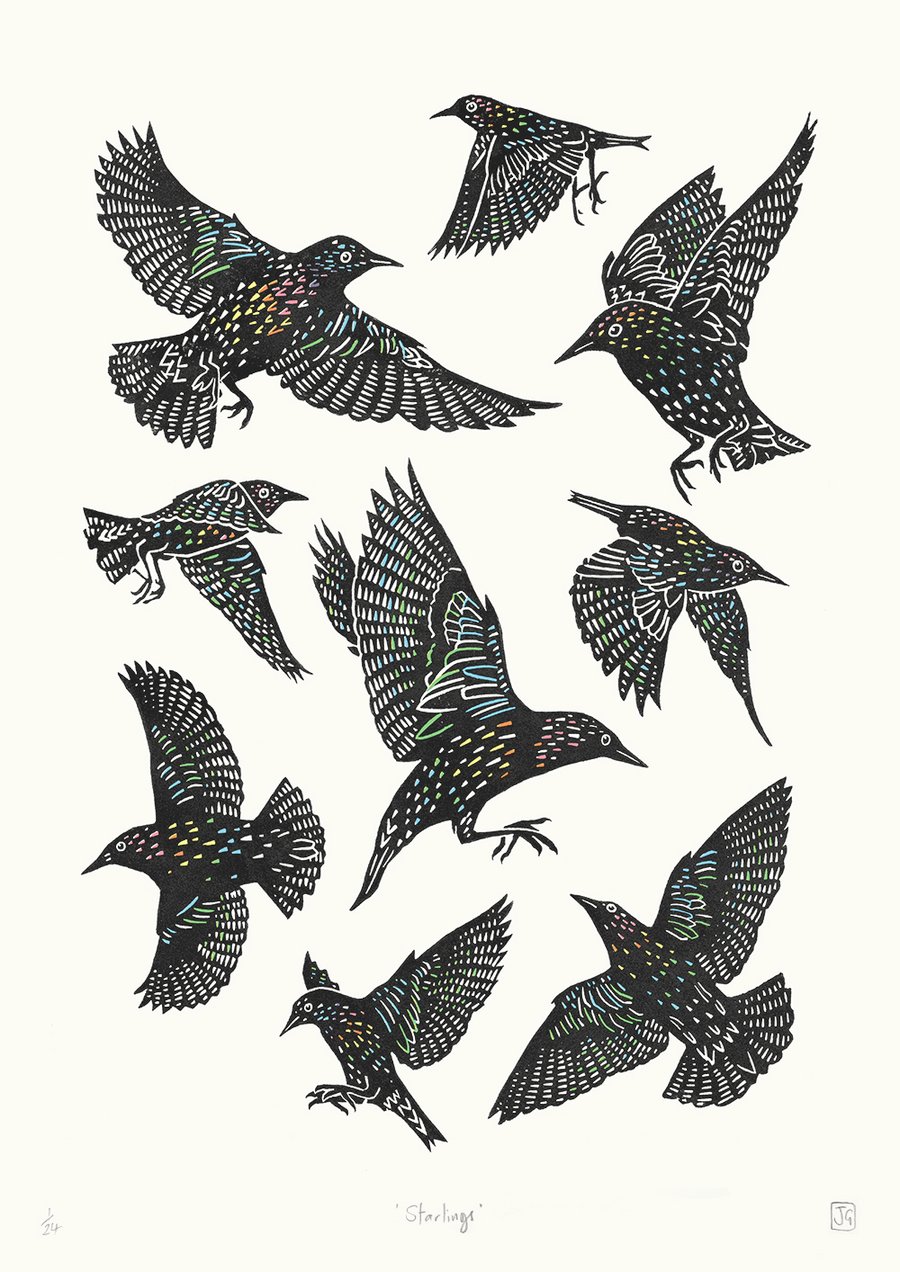 Starlings four-colour A2 linocut screen-print