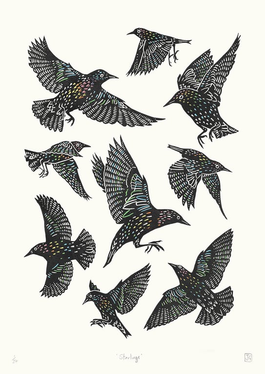 Starlings four-colour A2 linocut screen-print