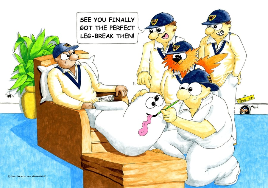 Cricket get well soon card Leg Break FREE UK P&P