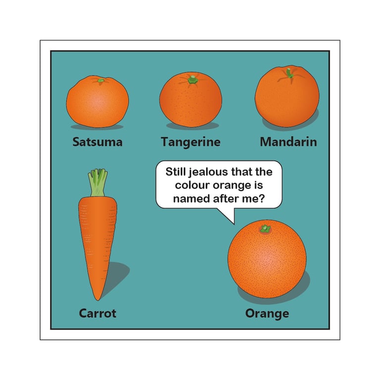 Colour Orange Postcard