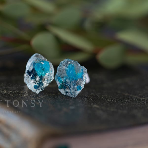 Flower Ear Rings Ice Earring Blue Flowers Botanical Jewellery Pressed Flowers Na