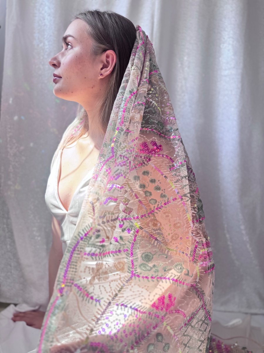 Life of the Party - Colourful Sequin Embroidered Wedding Veil 