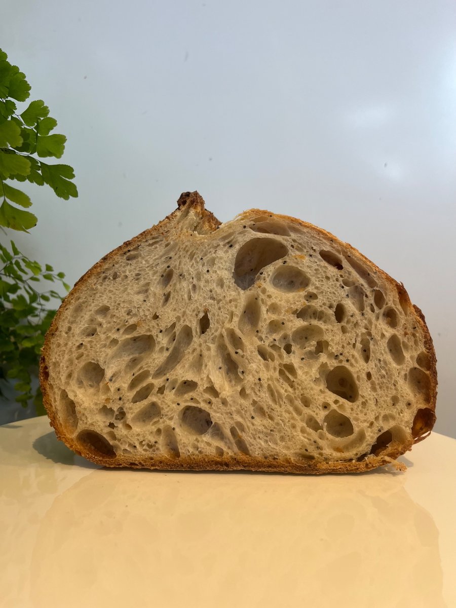 Organic White Sourdough Starter