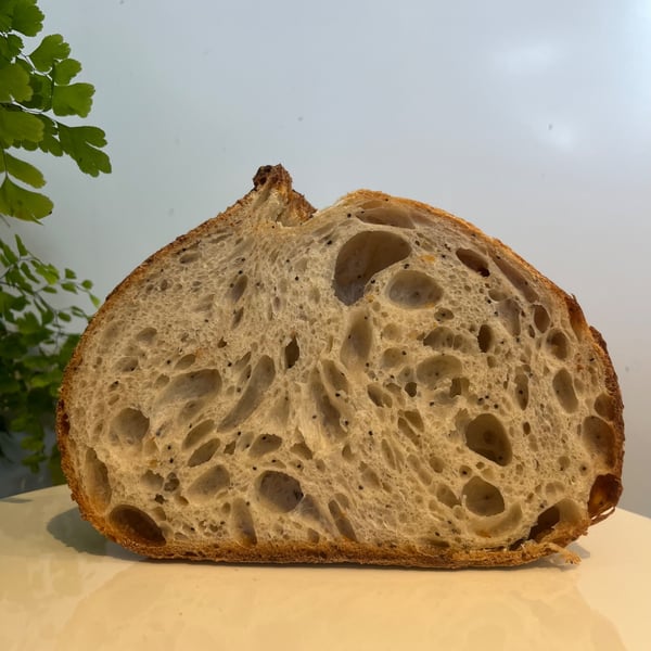 Organic White Sourdough Starter