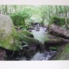 Photographic greetings card of the River Kennal, in Kennal Vale Nature Reserve.