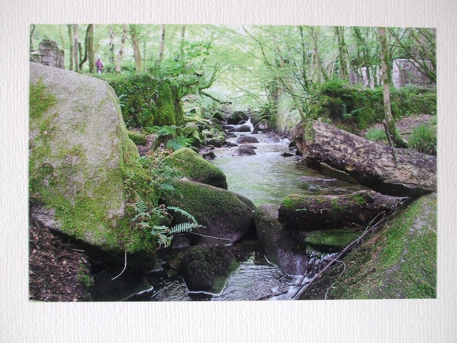 Photographic greetings card of the River Kennal, in Kennal Vale Nature Reserve.