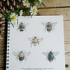 Bee notebook