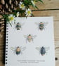 Bee notebook