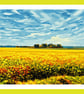 Rape Seed Filed Norfolk Greeting Card A5 Size  - Image 1