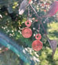 Hammered Flame-Painted Copper Double Spiral Earrings - Handmade Copper Jewellery