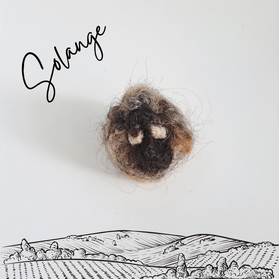 Solange the Sheep keyring and a pocket-sized stress buddy S