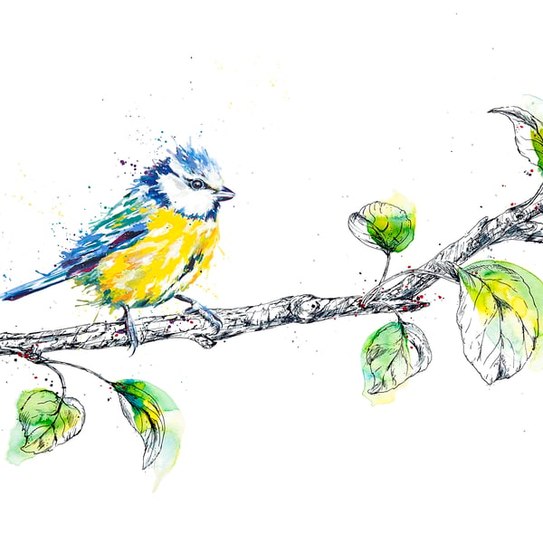 Blue Tit watercolour print, bird painting, ink drawing