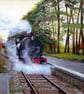 Acrylic Painting of a Train on the Poppy Line in North Norfolk card or print - Image 1