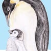 Emperor Penguin with Chick - Birthday Card