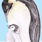 Emperor Penguin with Chick - Birthday Card