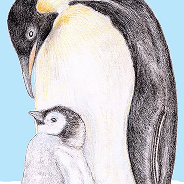 Emperor Penguin with Chick - Birthday Card