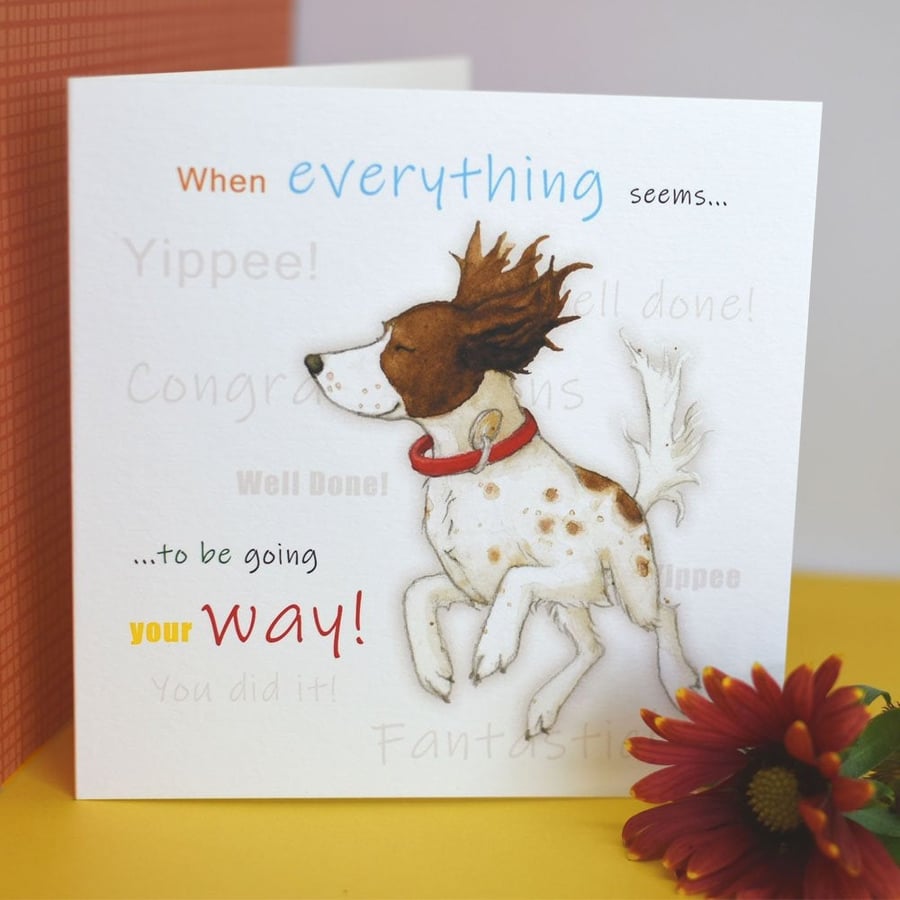 Dog Greetings Card, Congratulations, New Job, Exams, House, Springer Spaniel, Ha