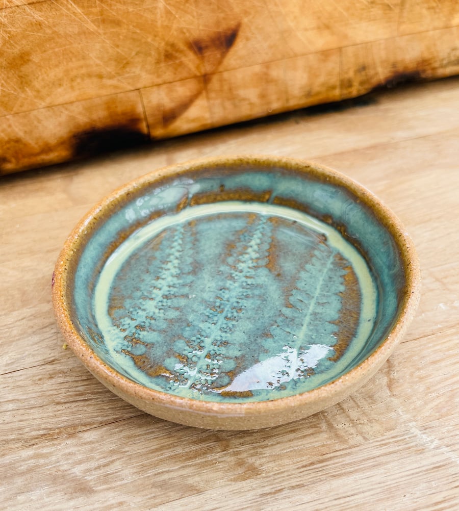 Hand made ceramic dish - fern leaf