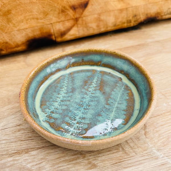 Hand made ceramic dish - fern leaf