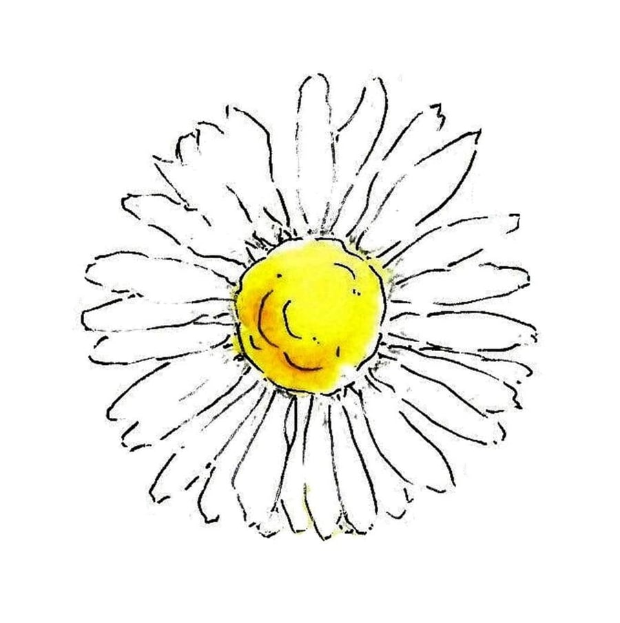 DaisyWings