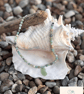 Sea Glass and Amazonite Necklace