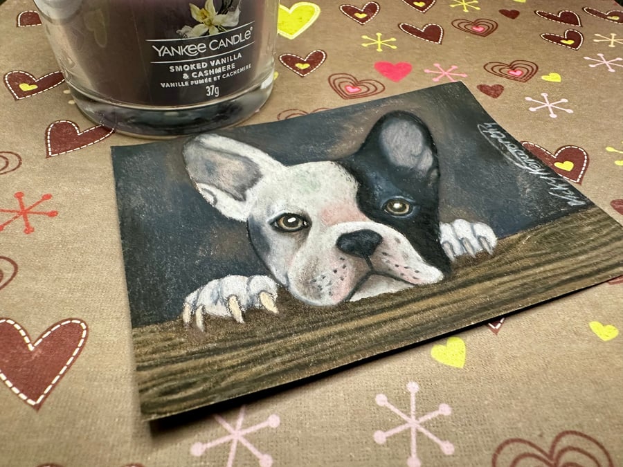 ACEO Original French Bull Dog 'Can I see?' By V Kenworthy