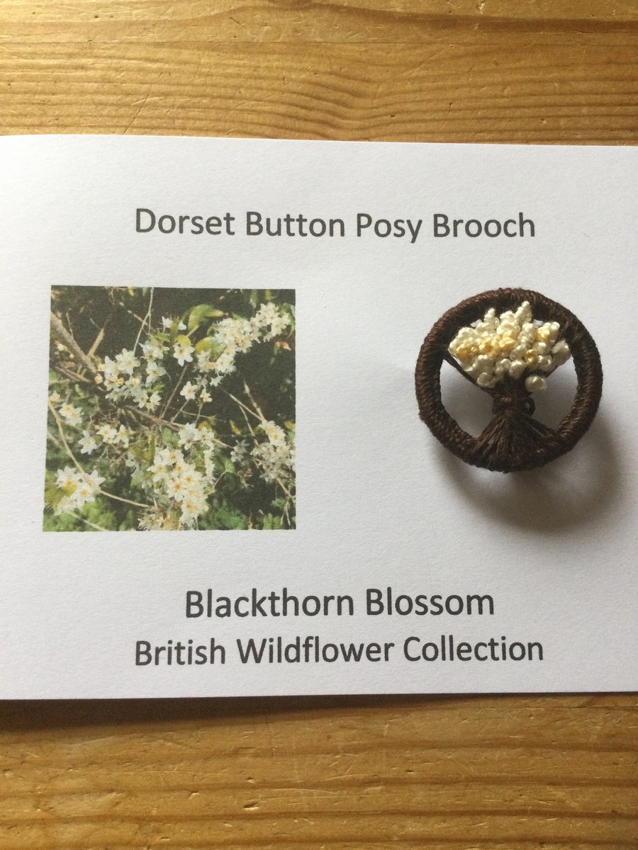 Dorset Button Posy Brooch, Blackthorn Blossom